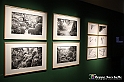VBS_1262 - Castello di Miradolo - Mostra Oltre il giardino l'Abbecedario di paolo Pejrone